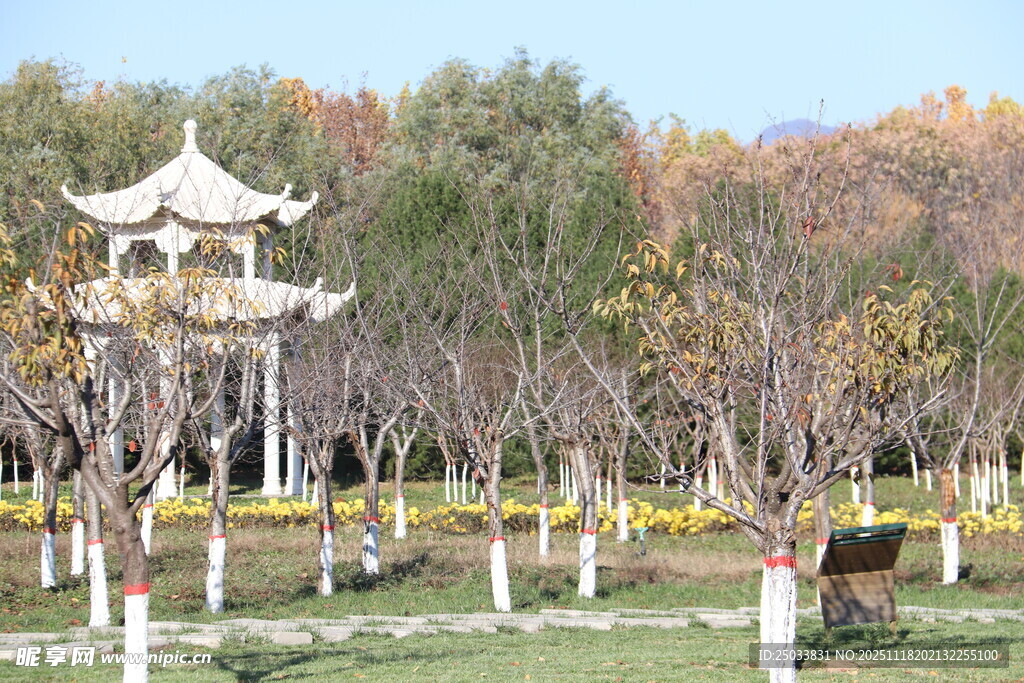 秋日园林中的古朴亭子