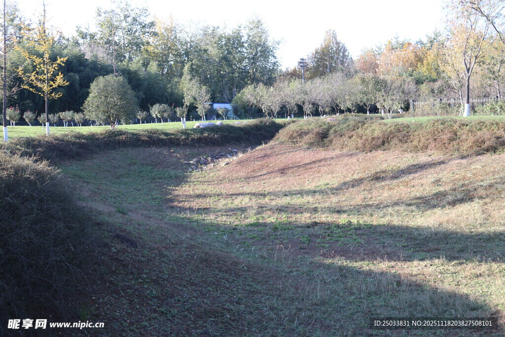 秋日户外的开阔草地景观