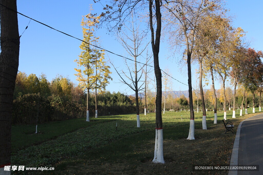 秋日林间小路风景