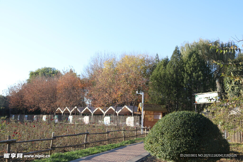 乡村小道旁的多彩秋景