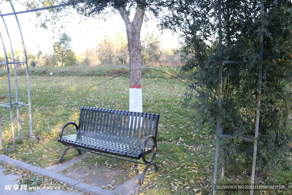 秋日公园长椅 静谧景致