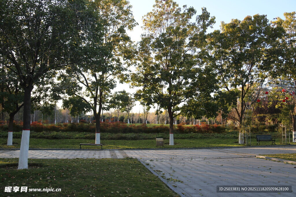 公园林荫小道秋日景象