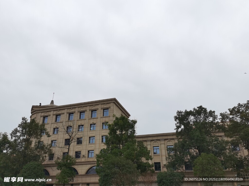 多层建筑隐于绿树之中