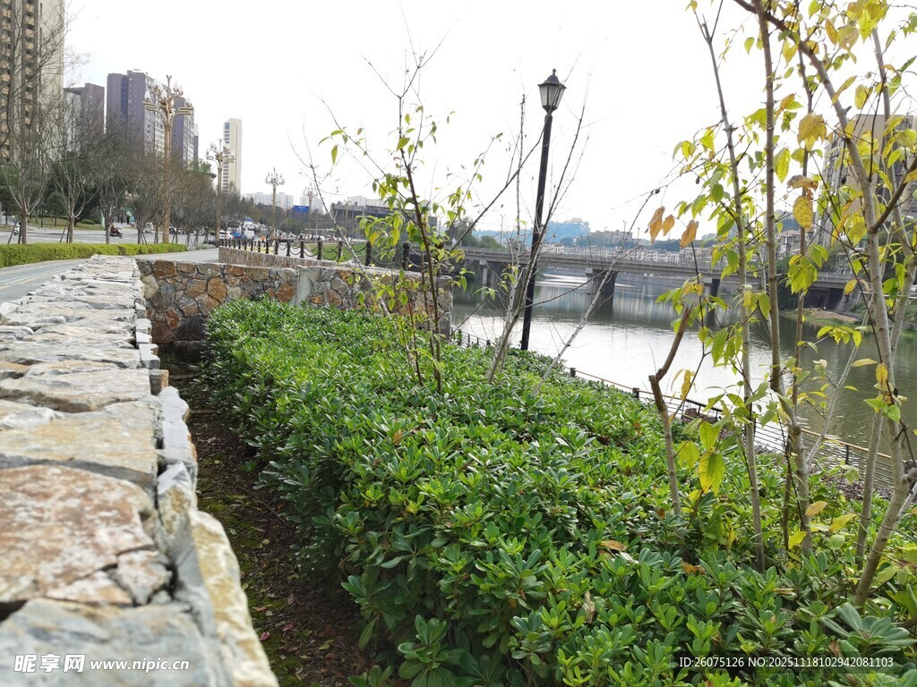 城市河畔绿植景观