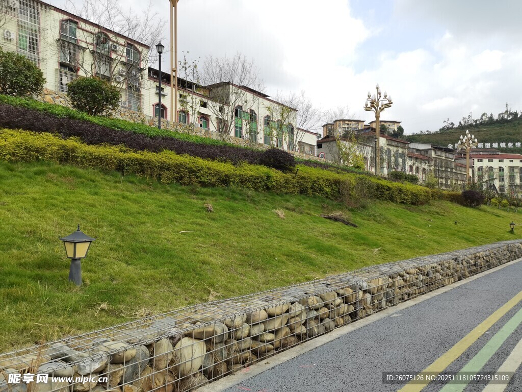 路边绿草如茵的建筑景观