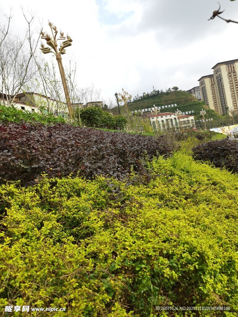 城市中的多彩绿植景观