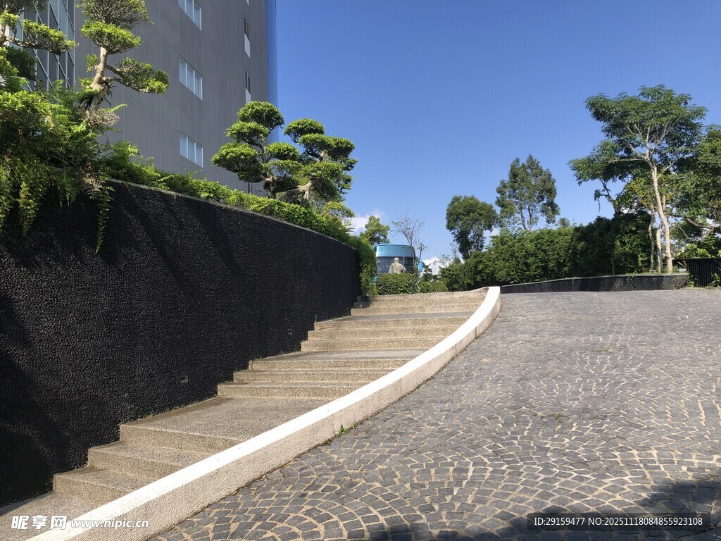 蜿蜒石径旁的绿植景观