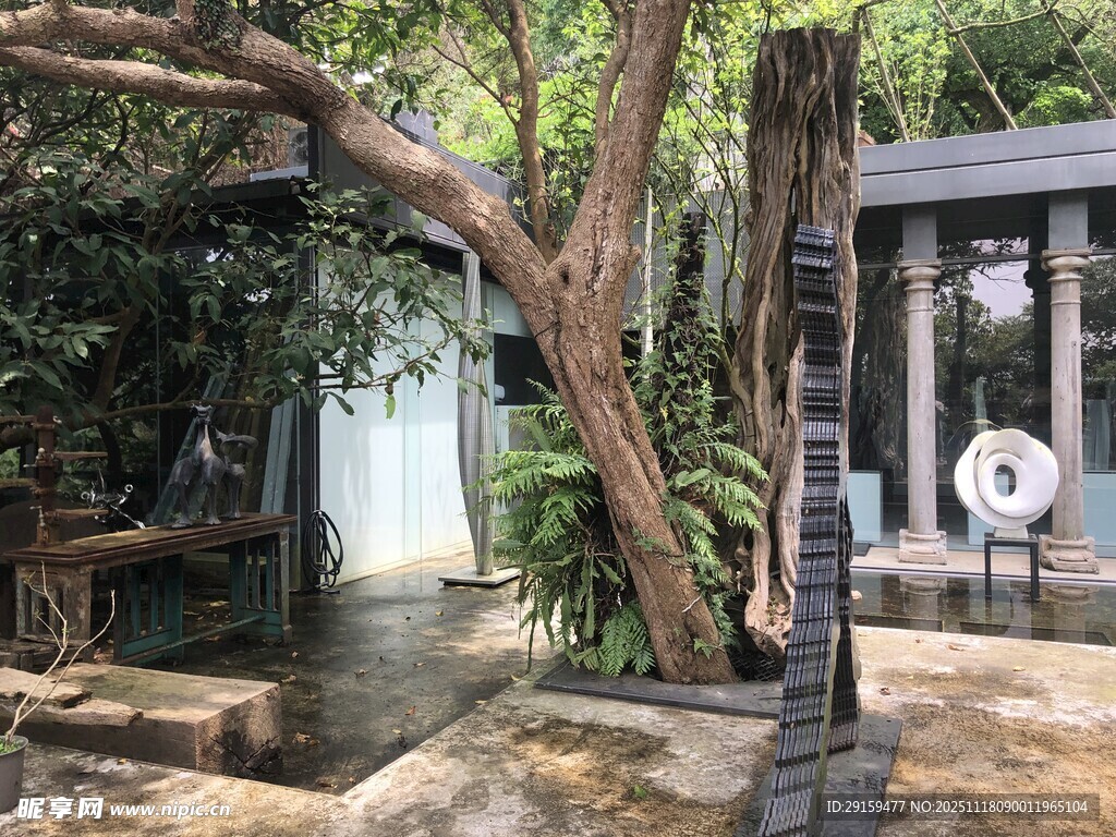 庭院中的绿植与水景景观