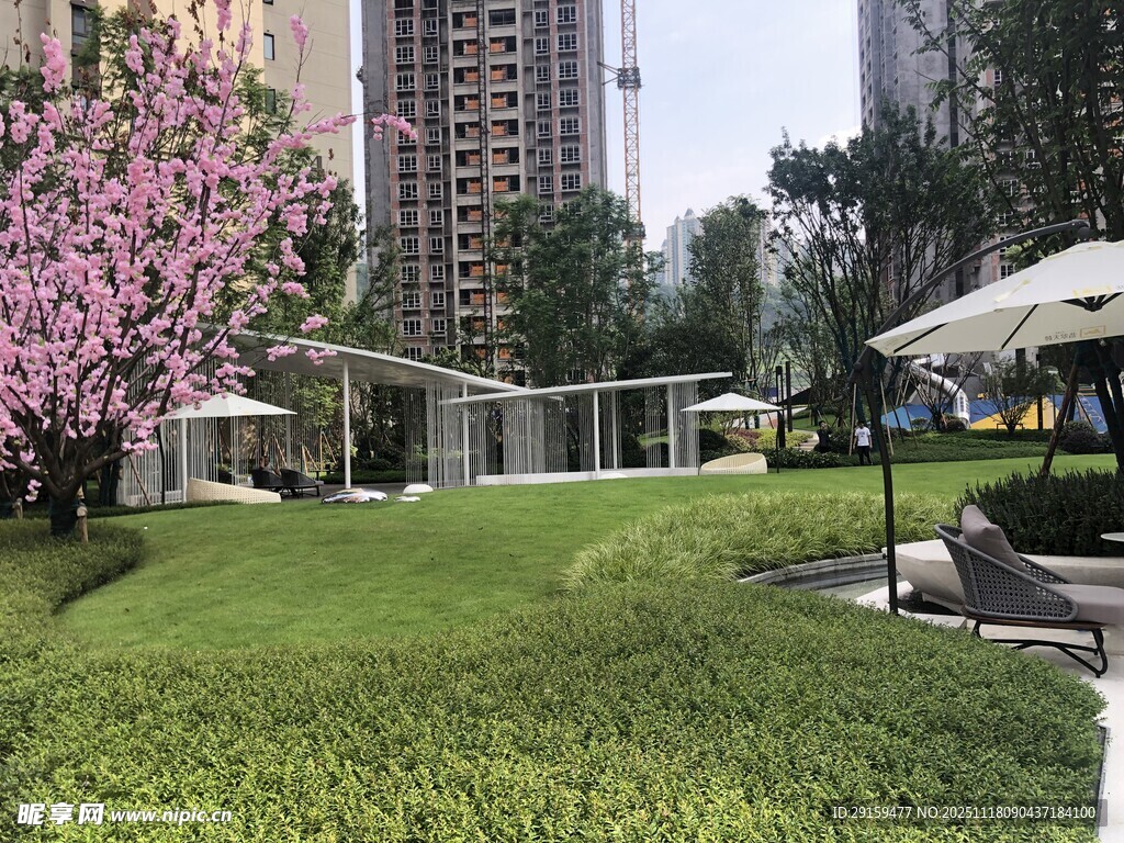 城市中的静谧花园美景