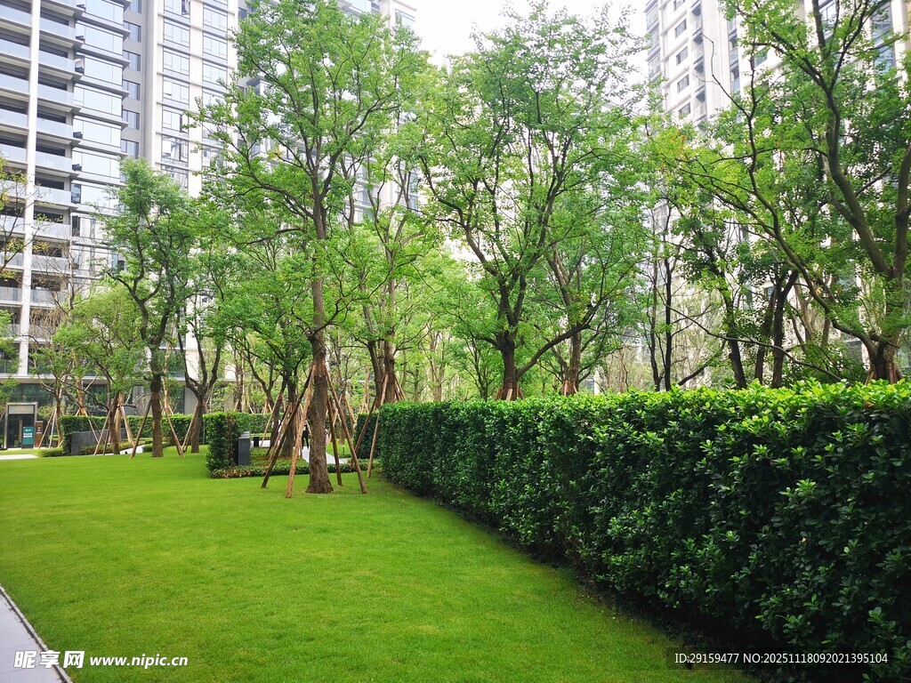 城市中的绿意盎然景观