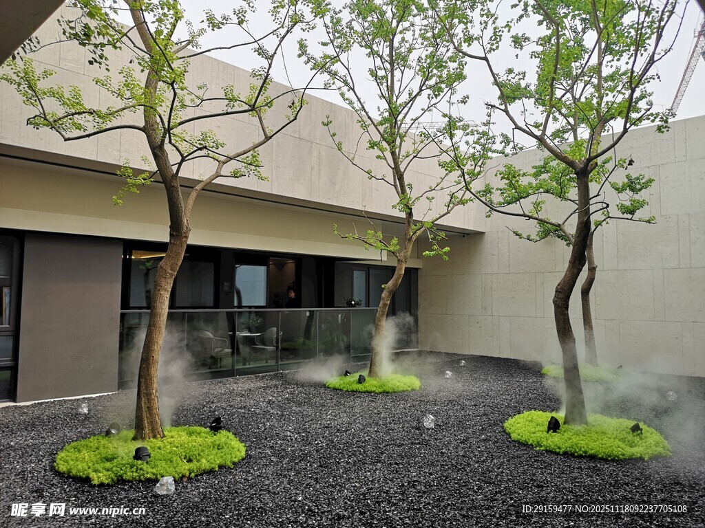 庭院绿植景观设计