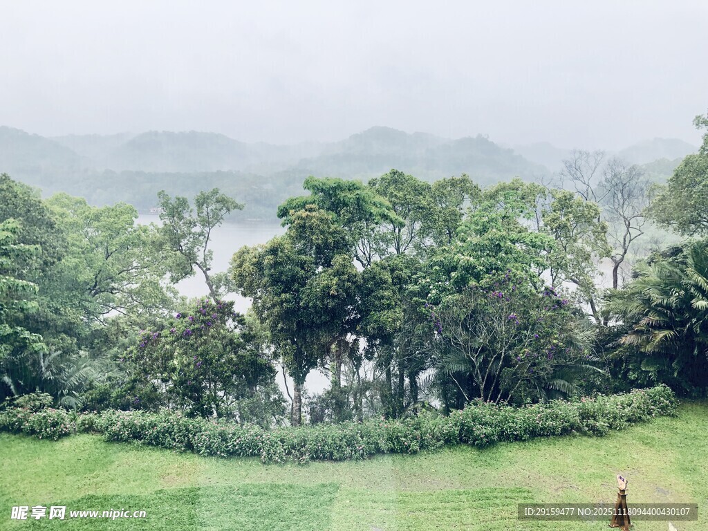 雨中葱郁山林景观