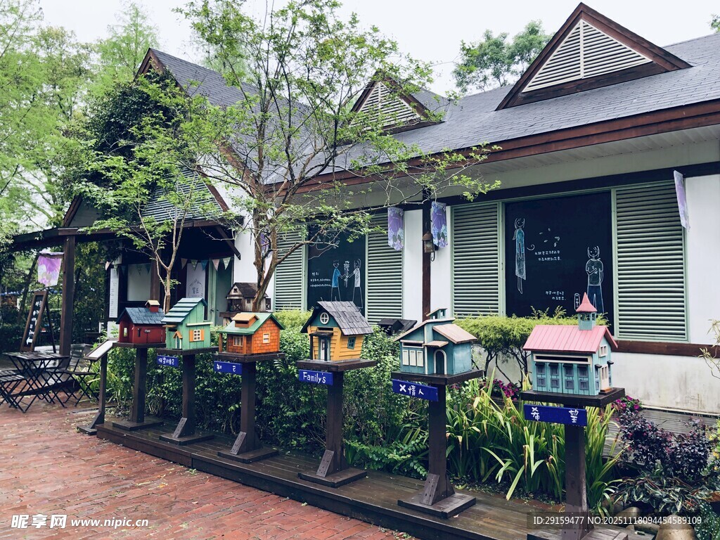 温馨小院的多彩花卉景观