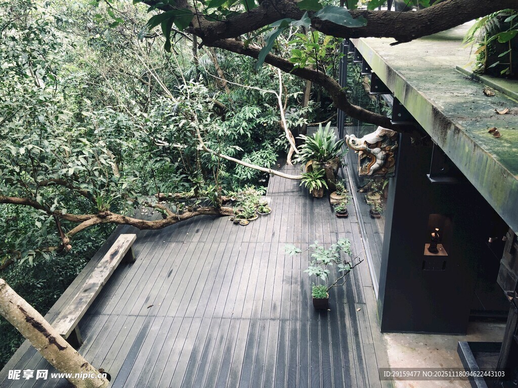 林间木质露台自然静谧处