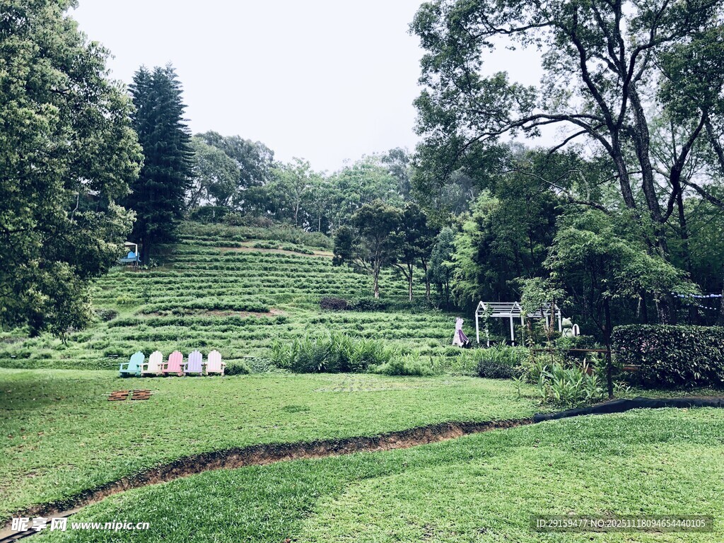 绿意盎然的户外园林景观