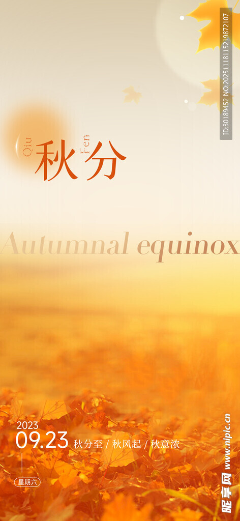 秋分时节金黄秋景图