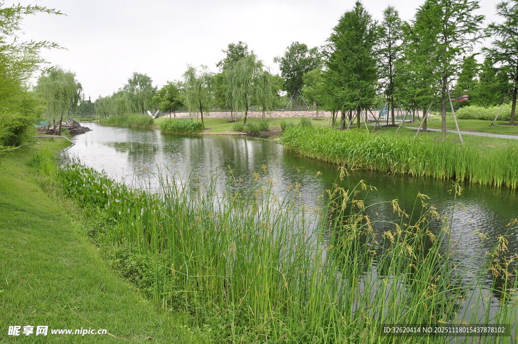 河畔绿意盎然的自然景致