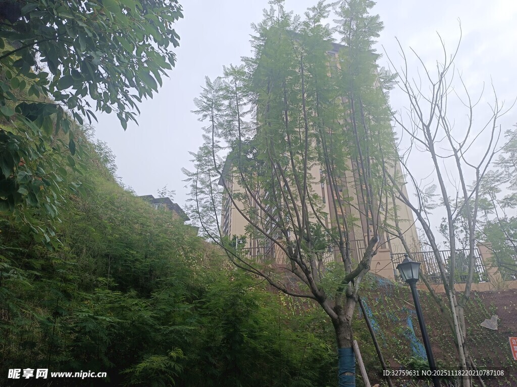 山林间隐约可见的建筑物