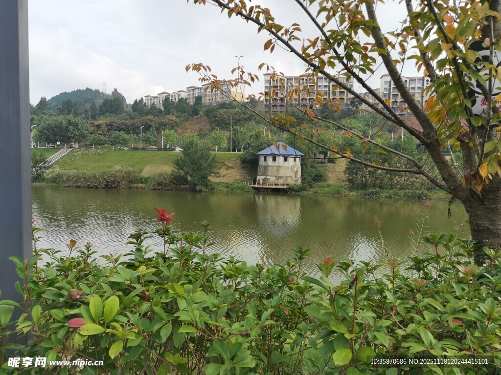 湖畔绿植环绕的静谧景致