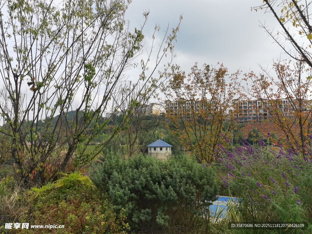 田园风光中的小屋