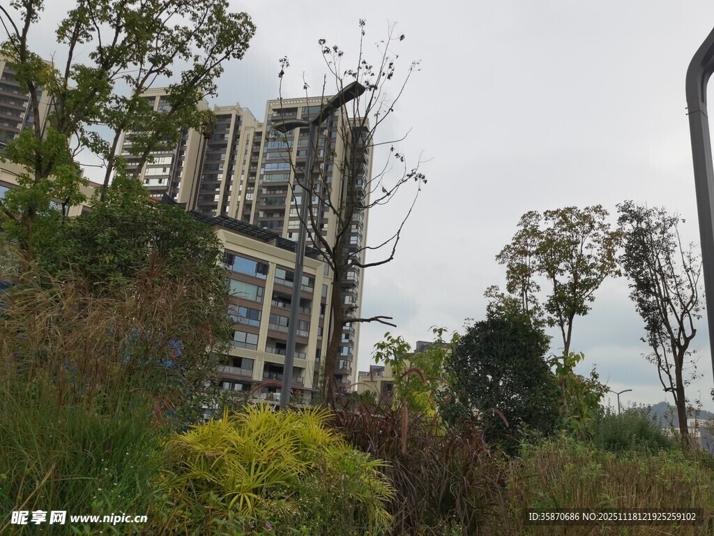 小区周边绿植环绕景观