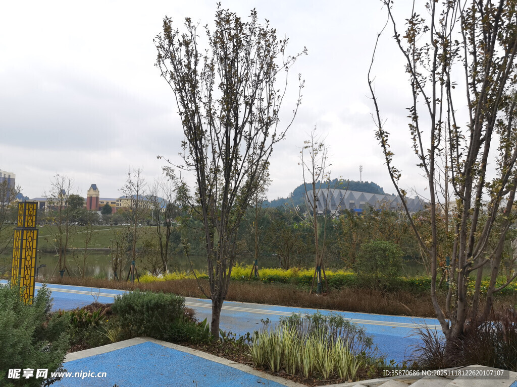 城市景观中的多彩水景与绿植