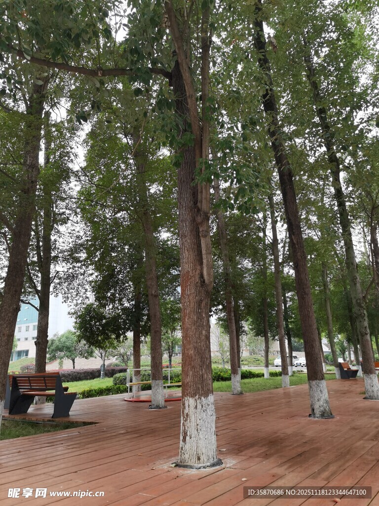 公园林荫下的休闲场景