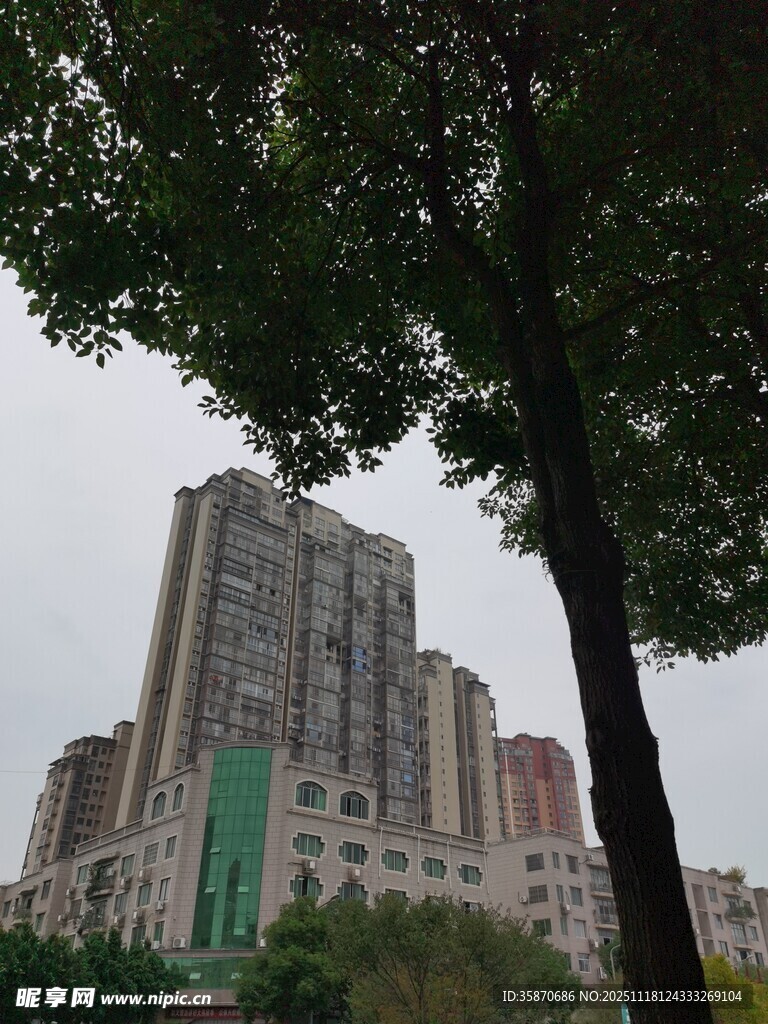 城市中高耸的住宅楼