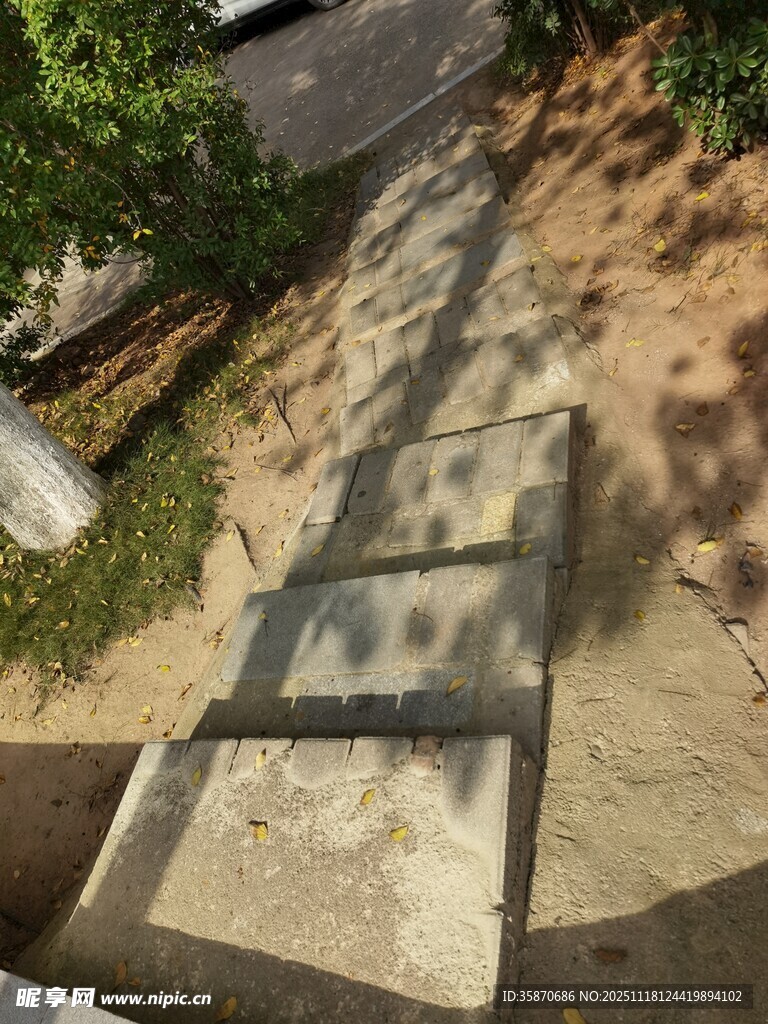 户外阶梯旁绿植景观