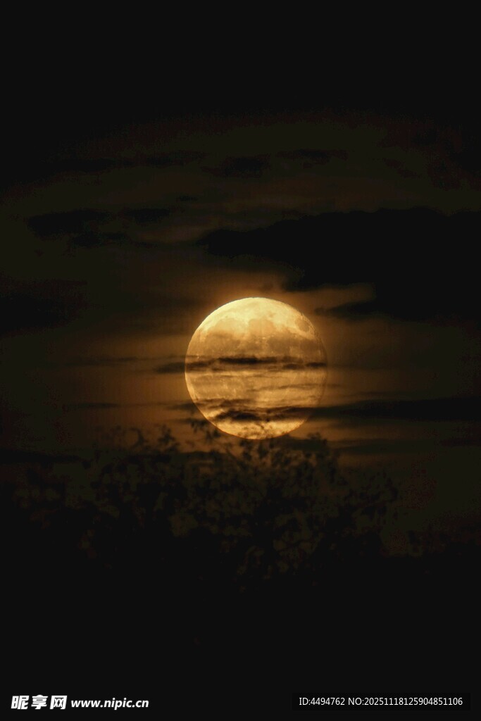 夜空中的金黄满月