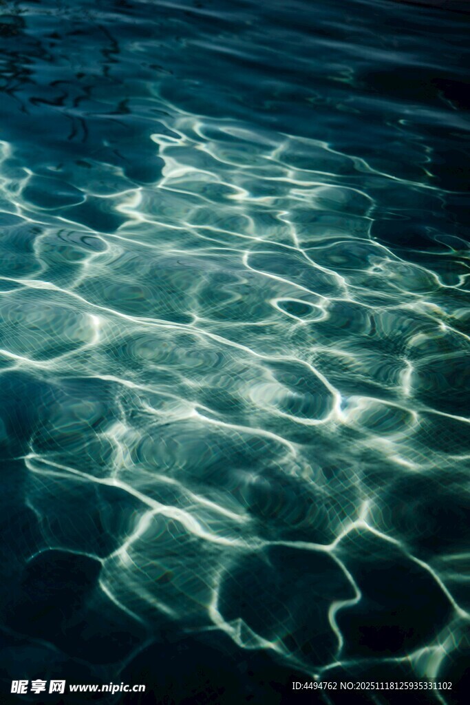 波光粼粼的清澈水底世界