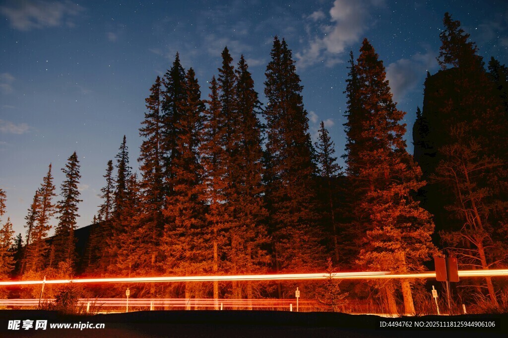 森林夜景中的光轨奇观