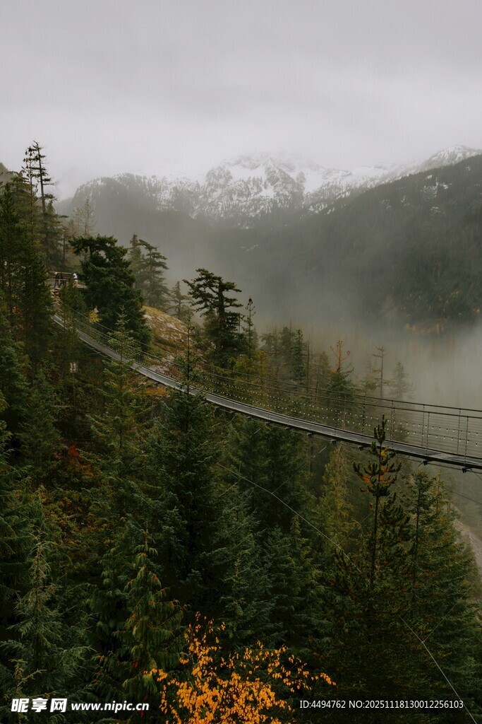 山间雾霭中的森林景致