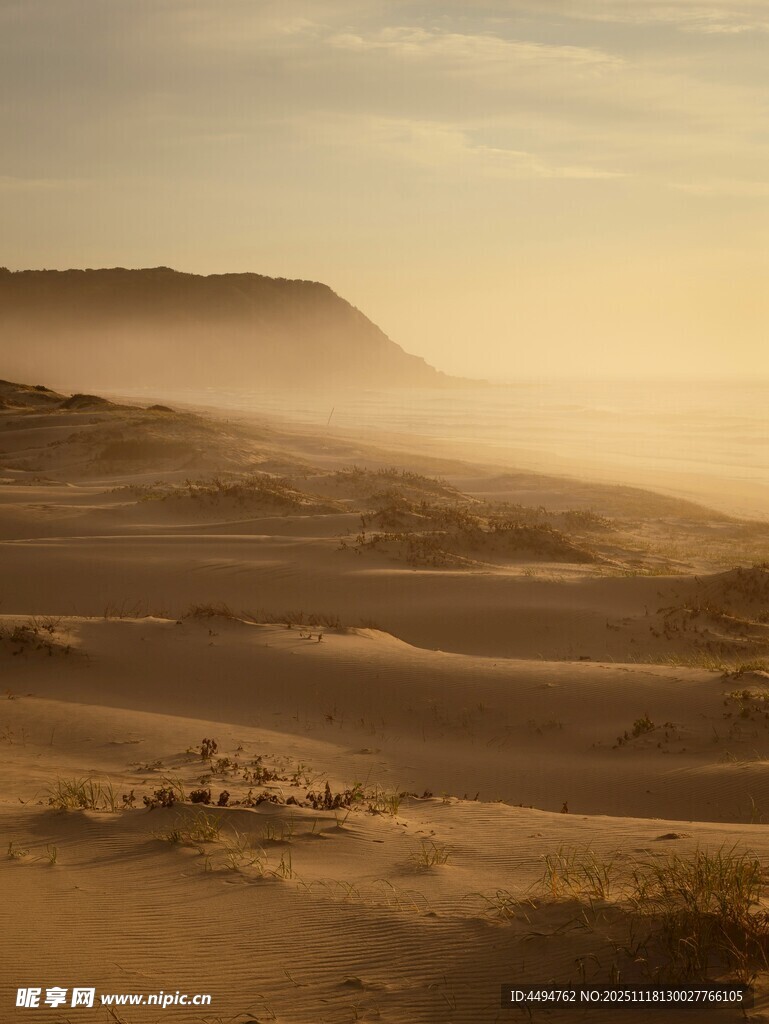 沙漠晨曦中的朦胧沙丘