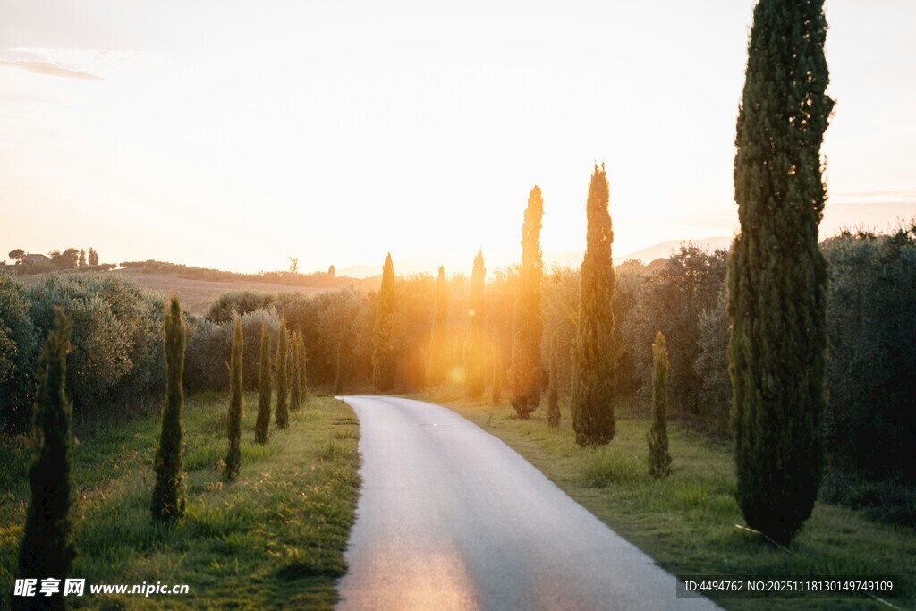 夕阳下的乡间小路美景