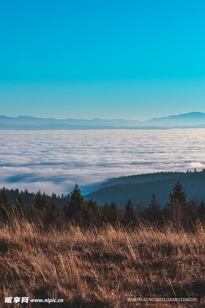 云海之上的旷野风光