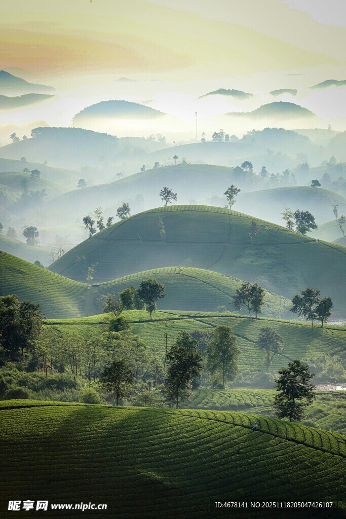 山间晨雾中的葱郁丘陵
