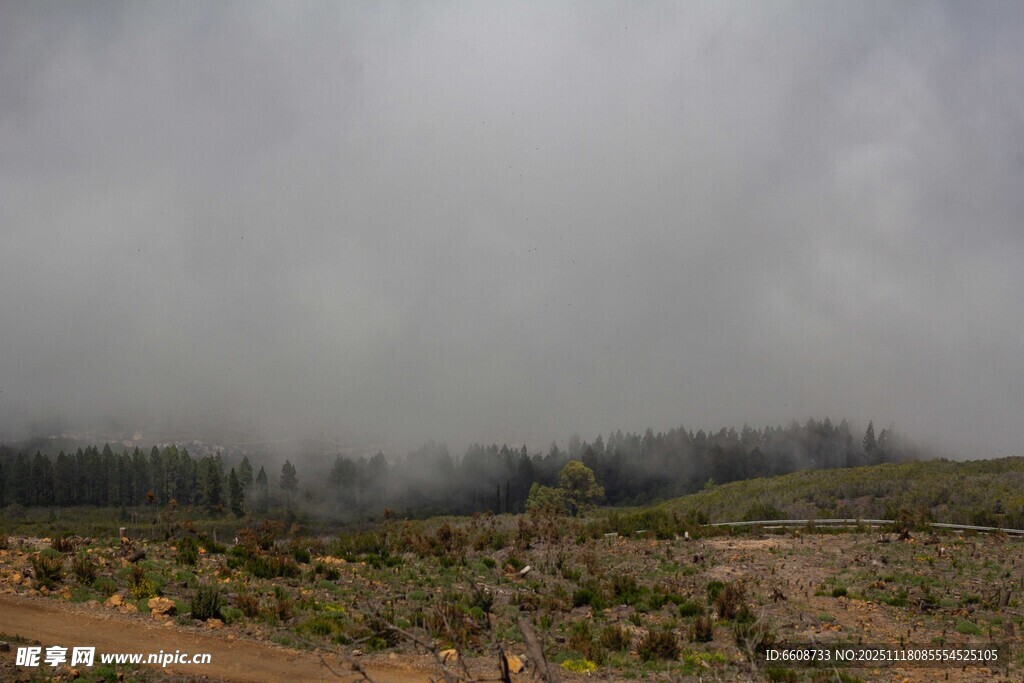雾霭笼罩的荒野景色