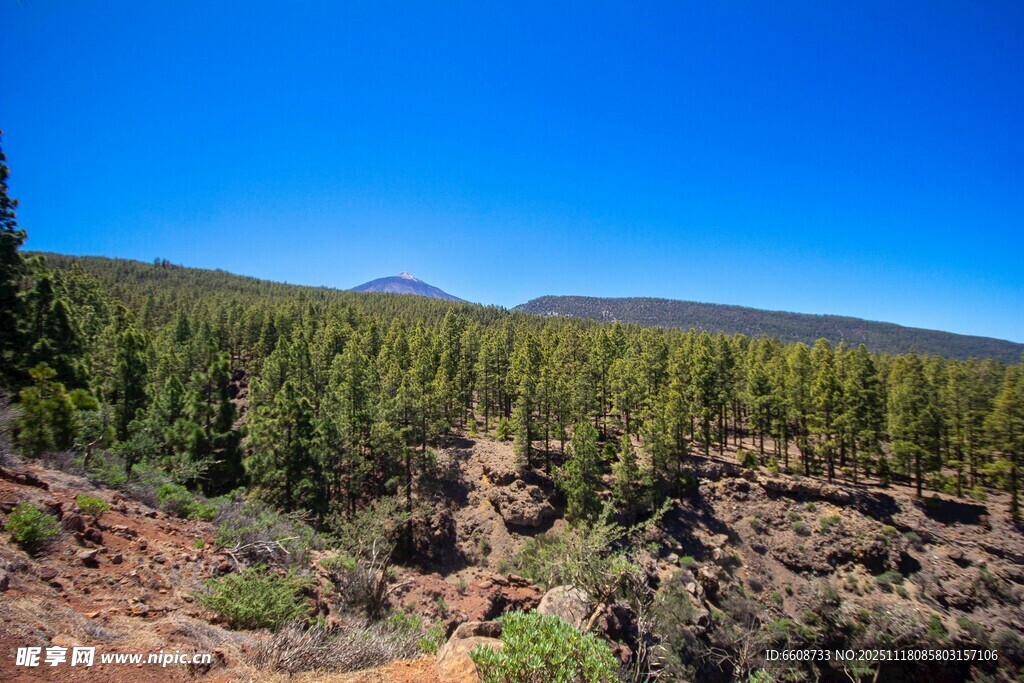 山林风光蓝天绿树成荫