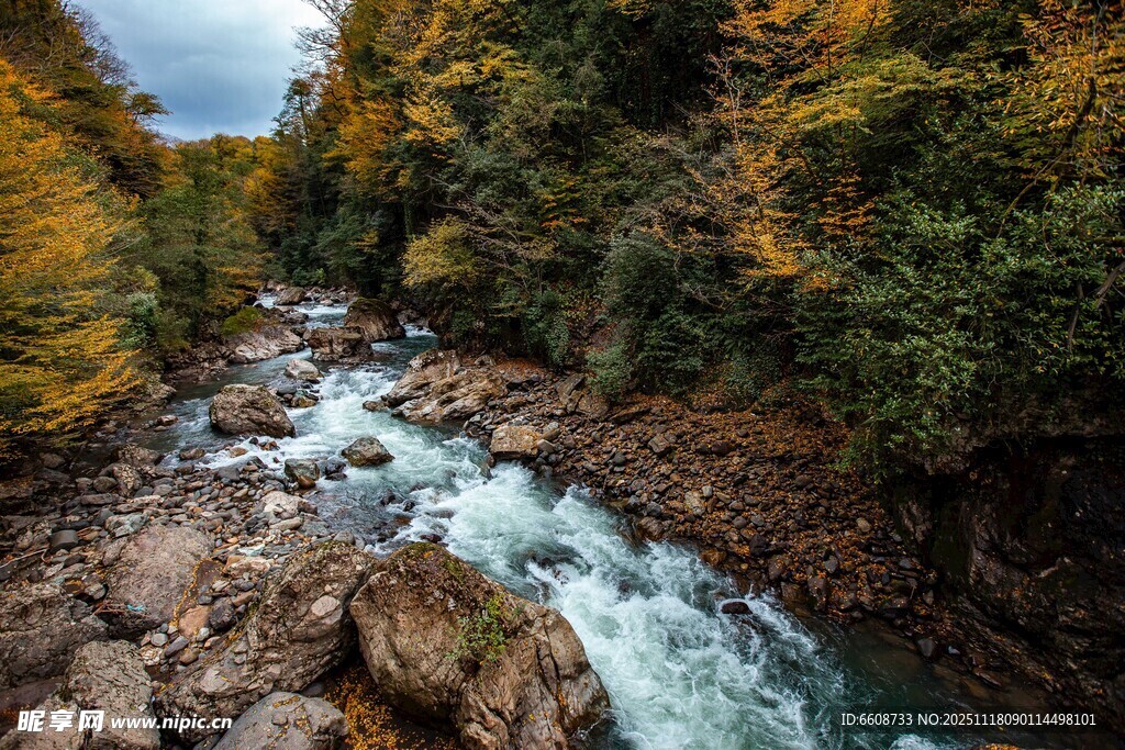 山间湍急溪流与多彩林木