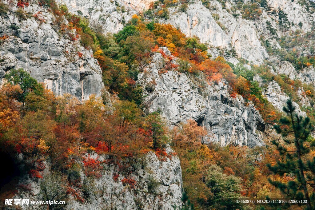 秋日山间斑斓景致