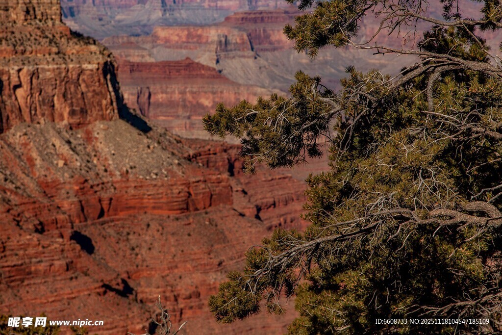 壮丽大峡谷景观