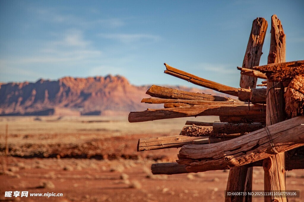 沙漠中的枯木堆