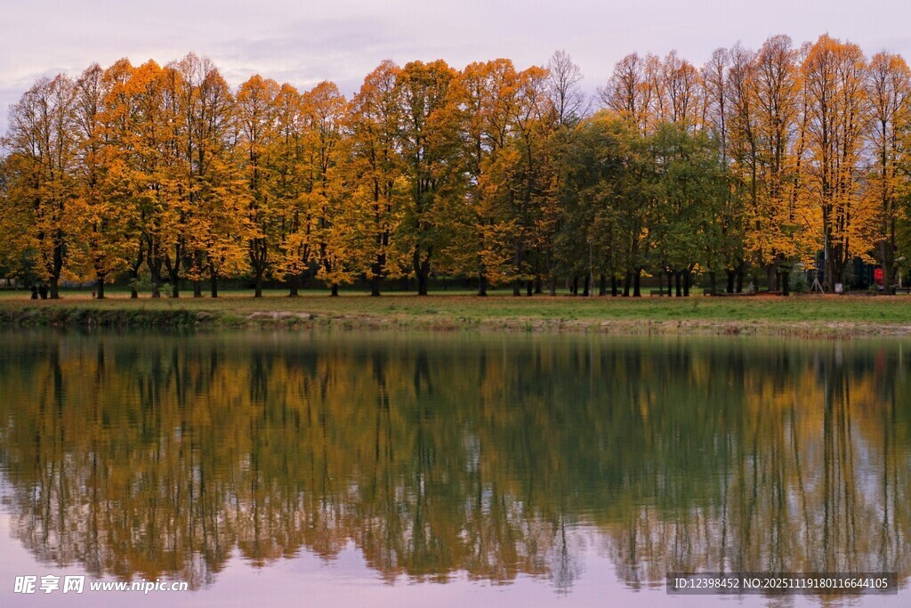 秋日湖畔树林倒影美景