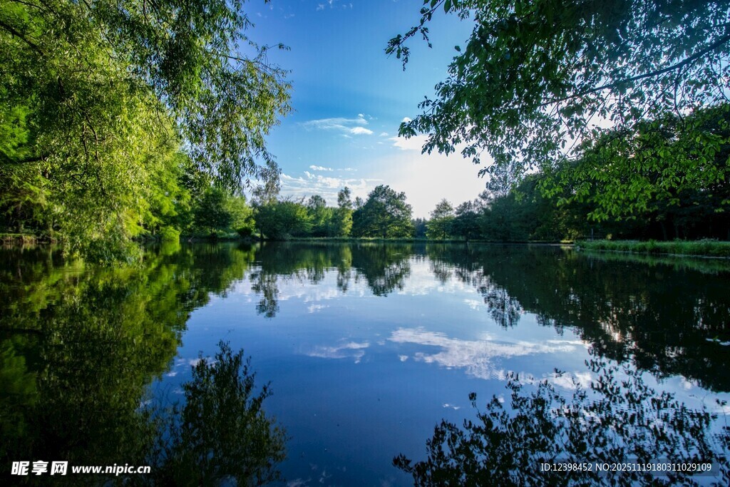 宁静湖畔的自然美景