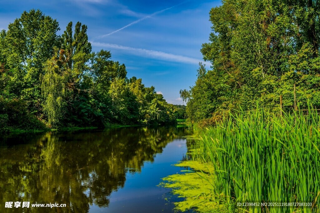 河畔葱郁景致