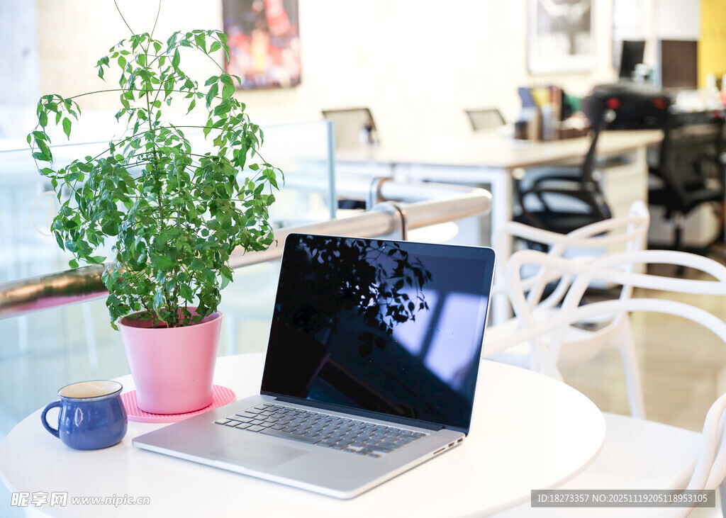 办公桌上的绿植与笔记本电脑