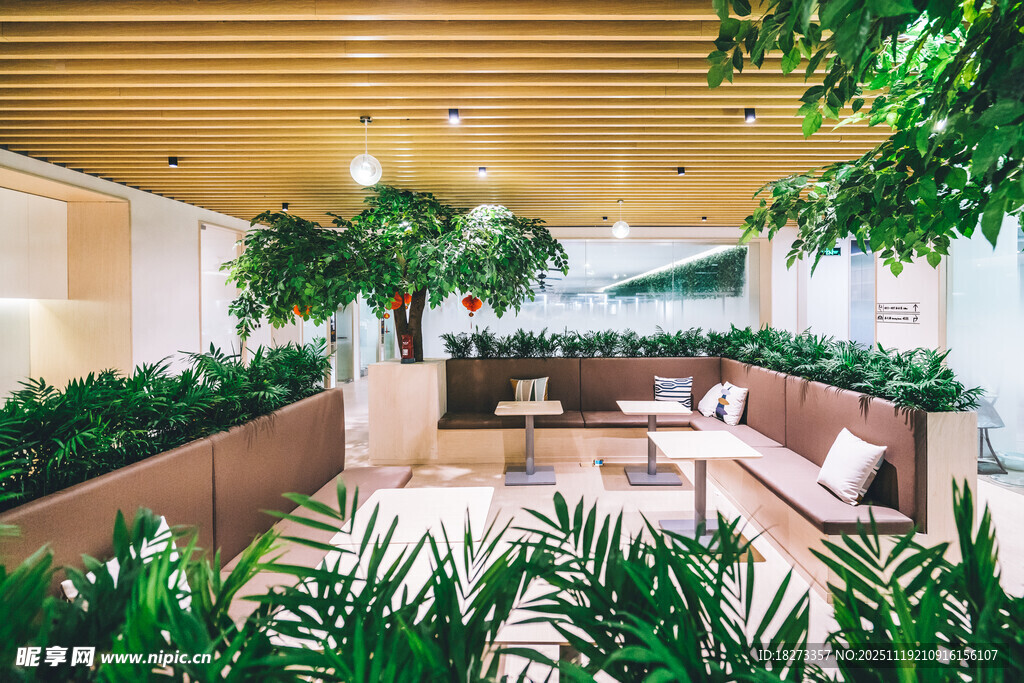 室内绿植环绕的休闲空间
