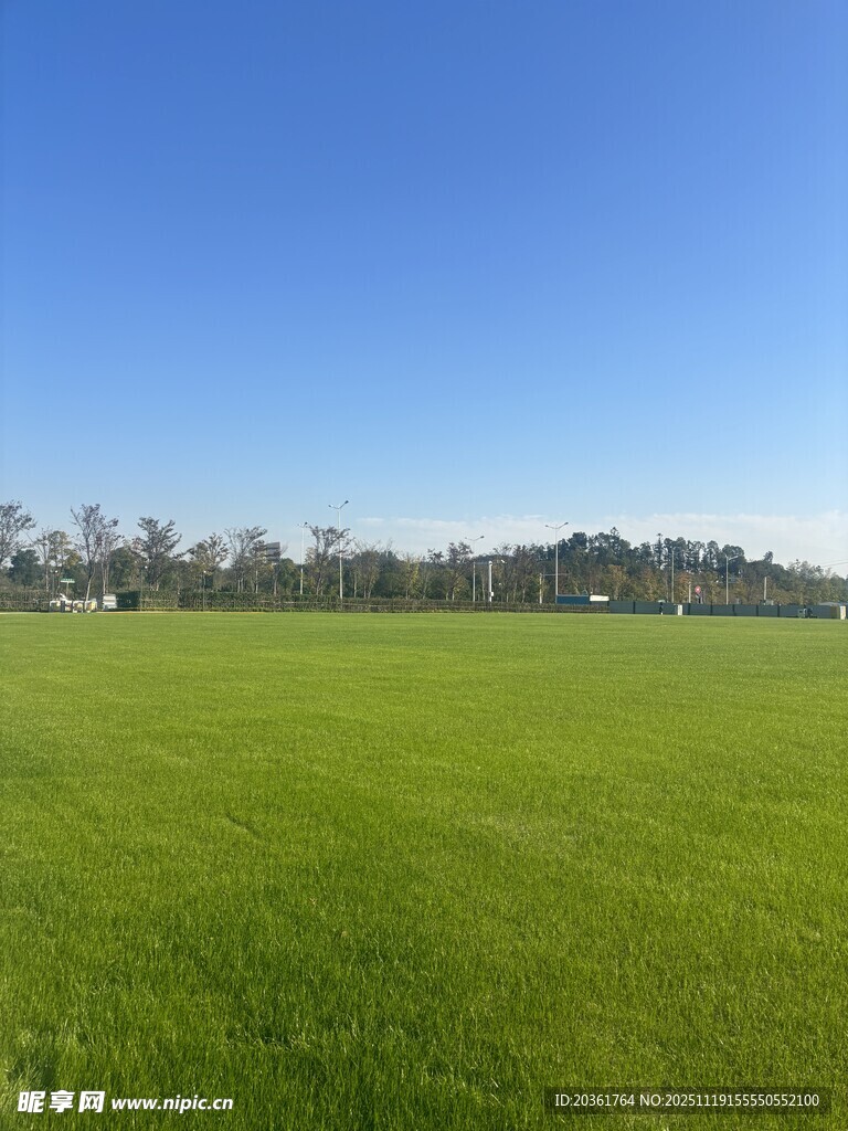 广阔绿草地与湛蓝天空