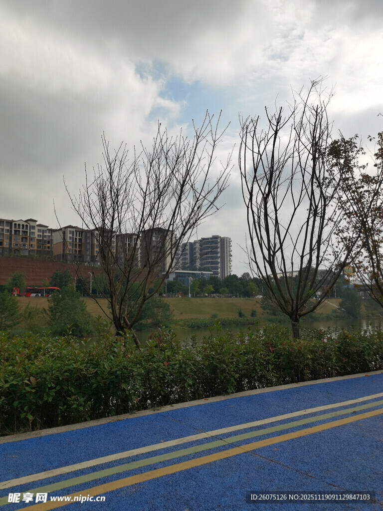 蓝色道路旁的城市风景